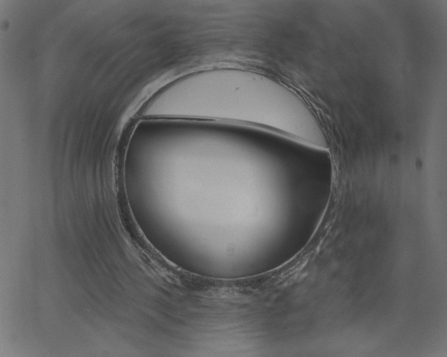 X0000068750244200604280934