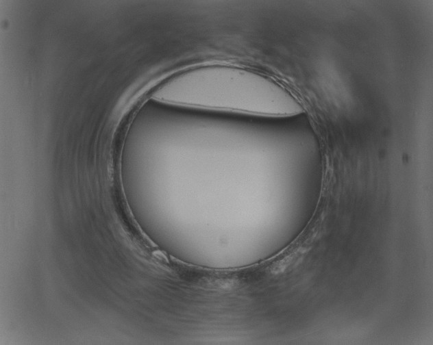 X0000068750247200604280934
