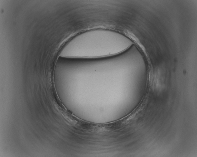 X0000068750249200604280934