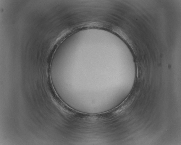 X0000068750253200604280934