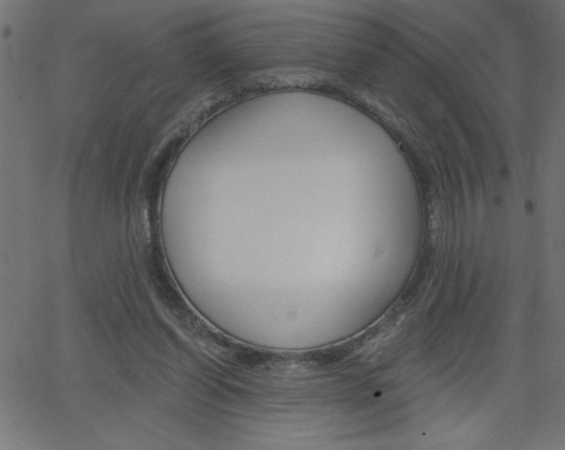 X0000068750254200604280934