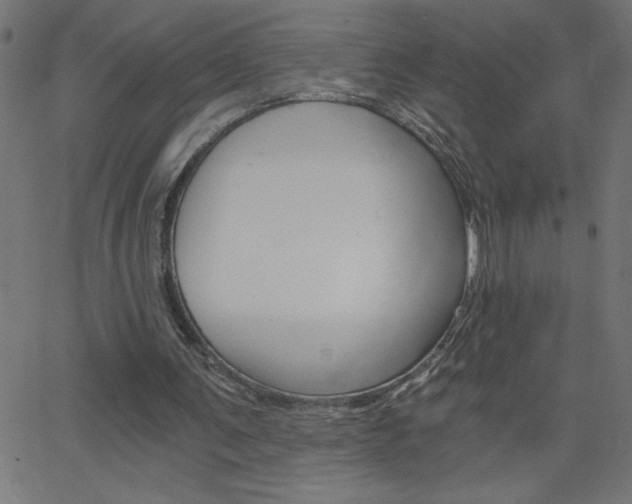 X0000068750291200604280933