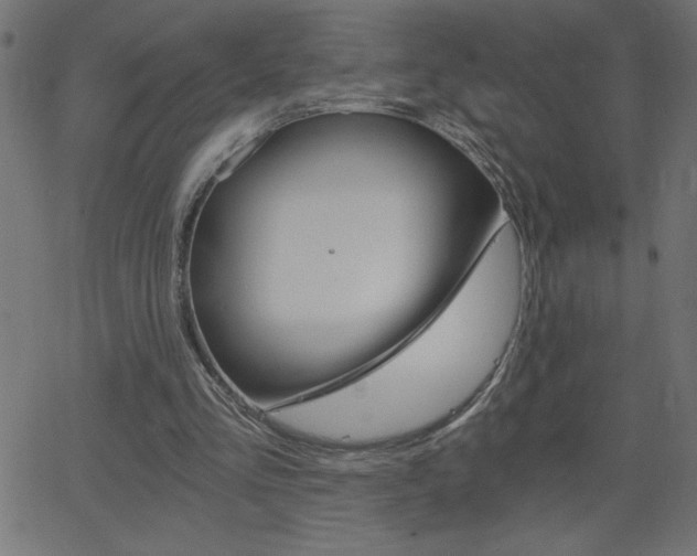 X0000068750293200604280933