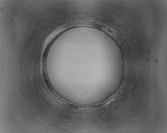 X0000068750294200604280933