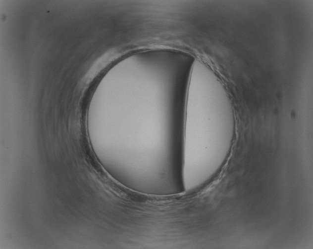 X0000068750295200604280933