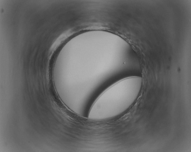 X0000068750296200604280933