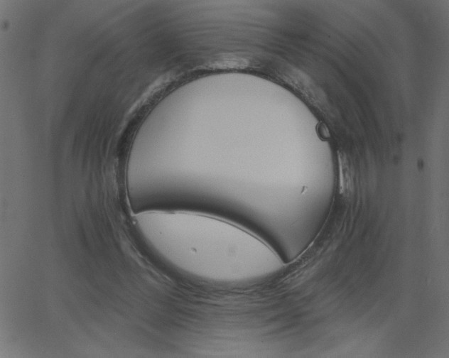 X0000068750300200604280933