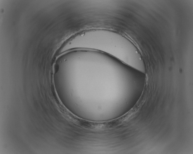 X0000068750301200604280933