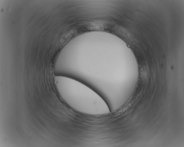 X0000068750322200604280933