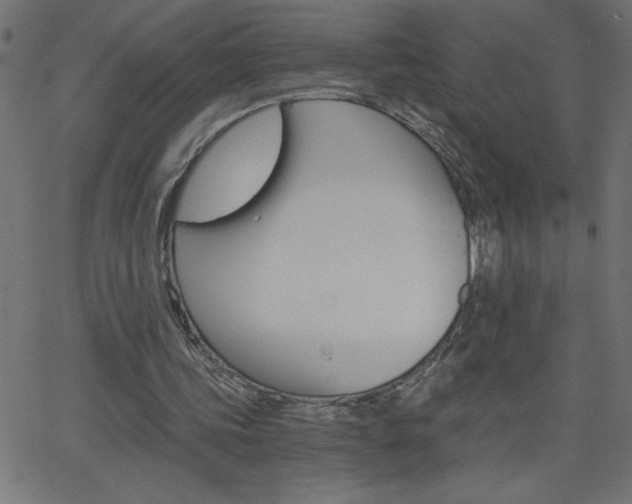 X0000068750339200604280932