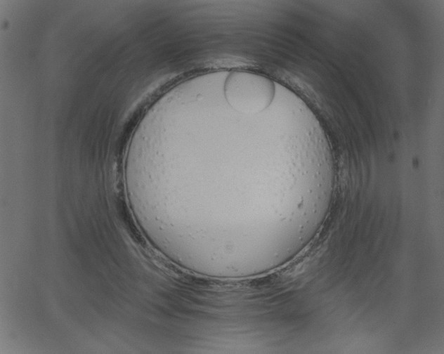 X0000068750351200604280932