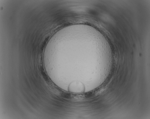 X0000068750359200604280932