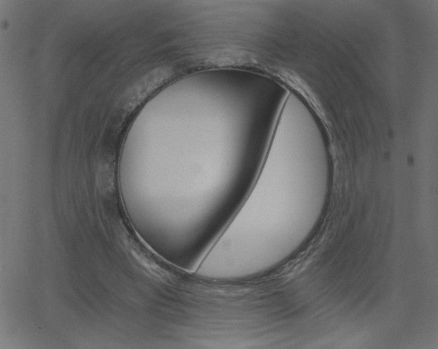 X0000068750393200604280932