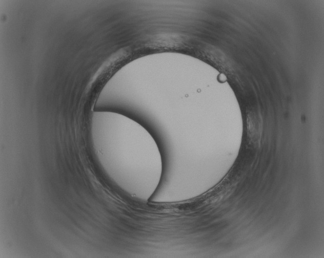 X0000068750396200604280932