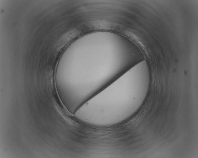 X0000068750398200604280932