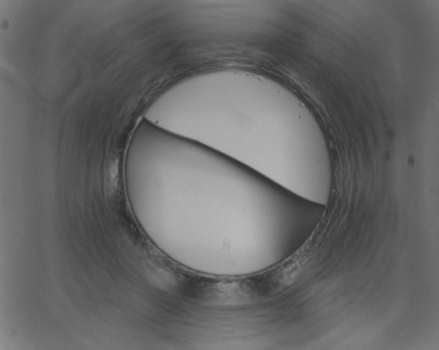 X0000068750406200604280932