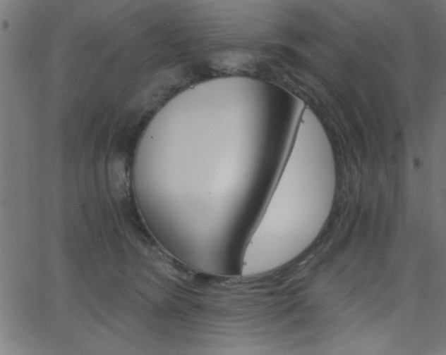 X0000068750420200604280931