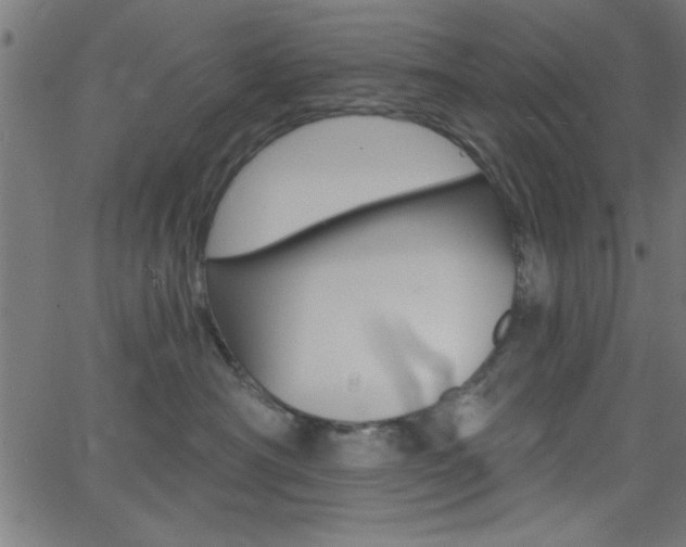 X0000068750430200604280931