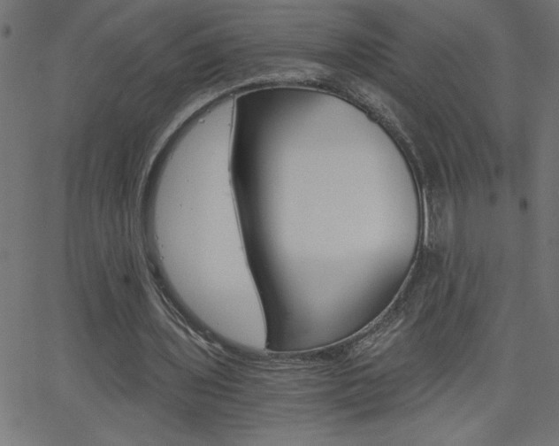 X0000068750435200604280930