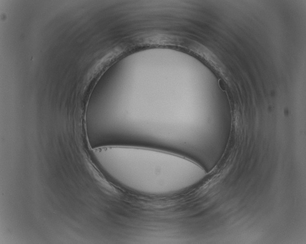 X0000068750445200604280931