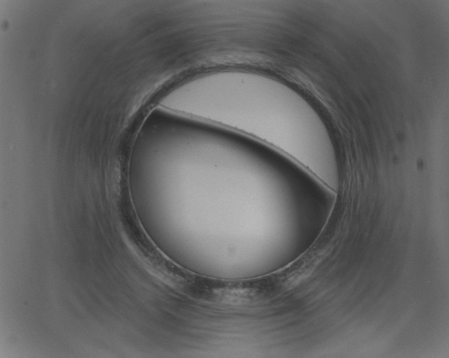 X0000068750448200604280931