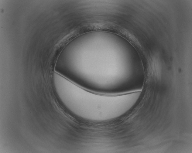 X0000068750450200604280931