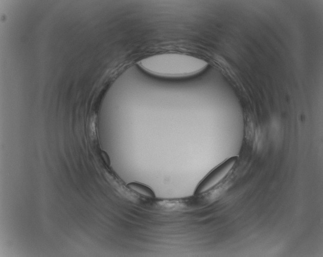 X0000068750477200604280931
