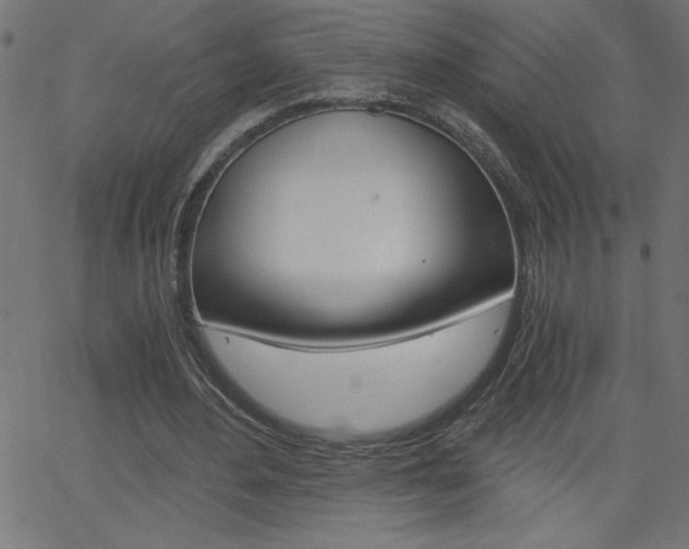 X0000068750484200604280930