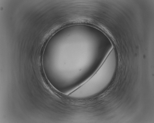 X0000068750485200604280930
