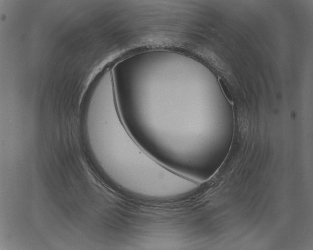 X0000068750488200604280930
