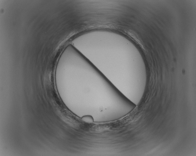 X0000068750491200604280930