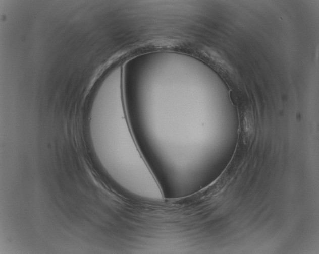 X0000068750492200604280930
