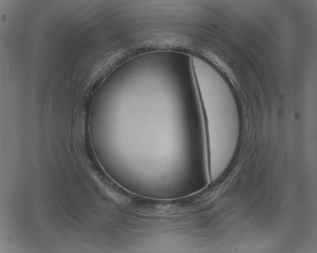 X0000068750493200604280930