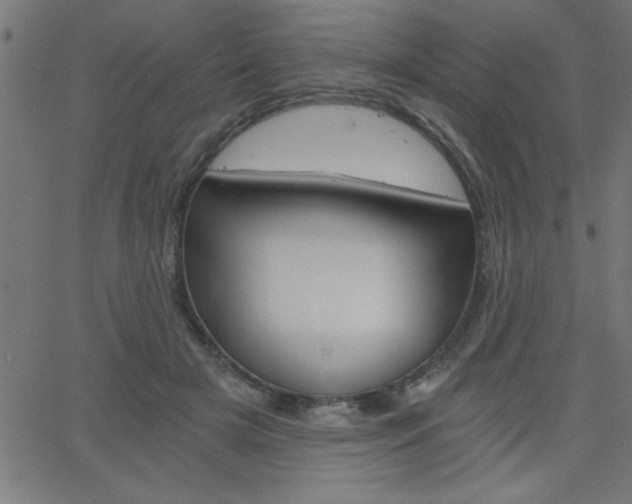 X0000068750505200604280930