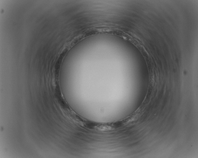X0000068750512200604280930