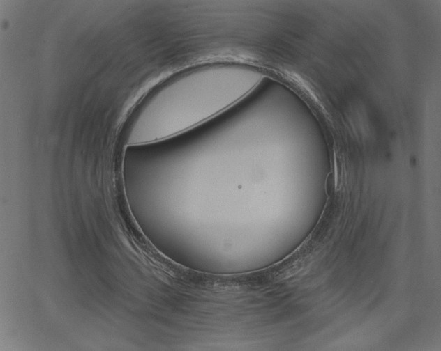 X0000068750531200604280929