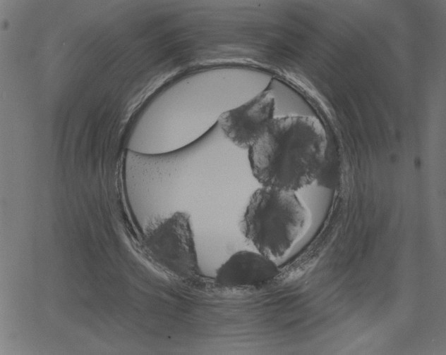 X0000068750533200604280929