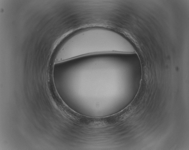 X0000068750536200604280929