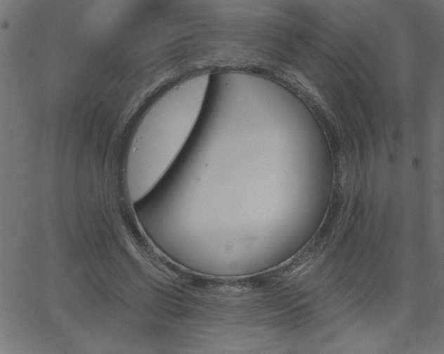 X0000068750542200604280929