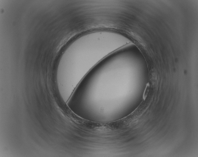 X0000068750544200604280929