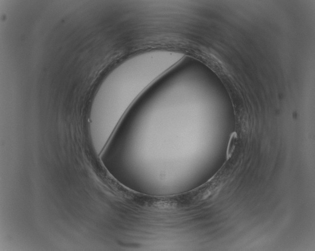 X0000068750546200604280929