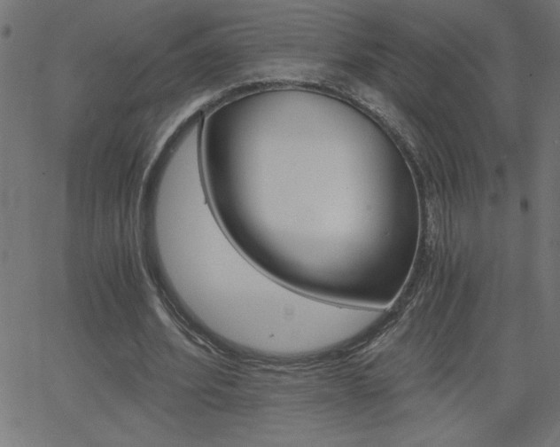 X0000068750580200604280929