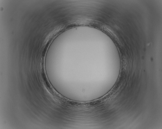 X0000068750586200604280929