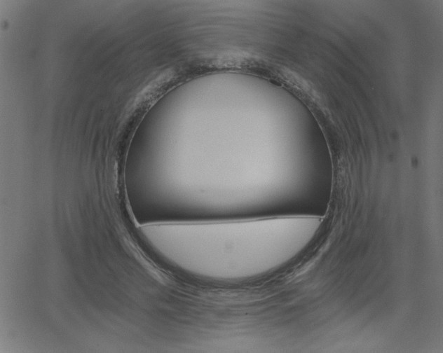 X0000068750589200604280929