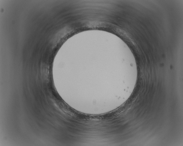 X0000068750592200604280929