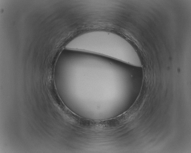 X0000068750593200604280929