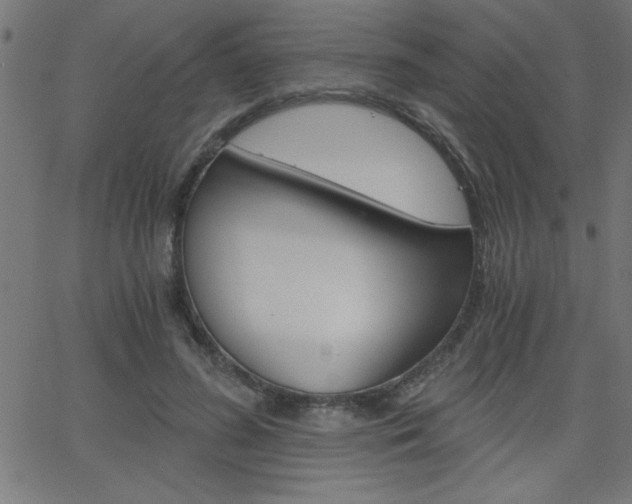 X0000068750596200604280928