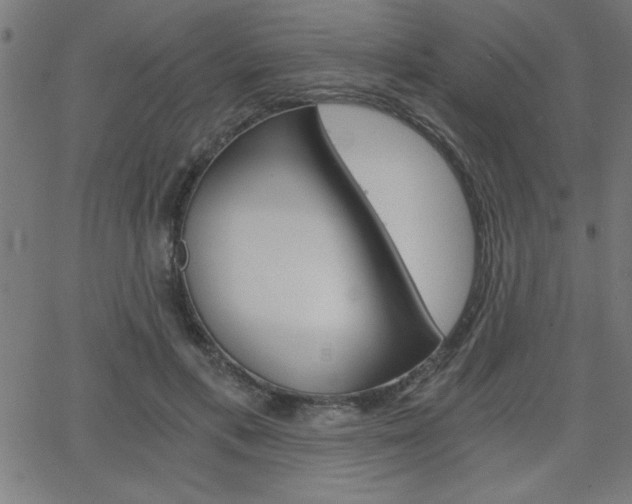 X0000068750597200604280928