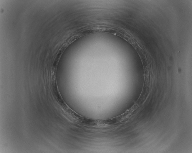 X0000068750601200604280928