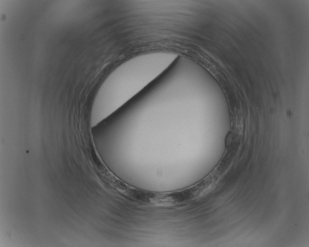 X0000068750603200604280928
